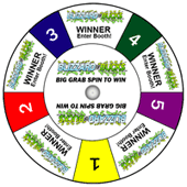 wheel of chance prize wheel